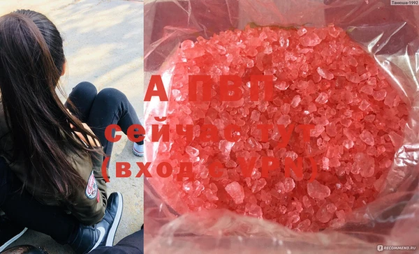кокс Ладушкин
