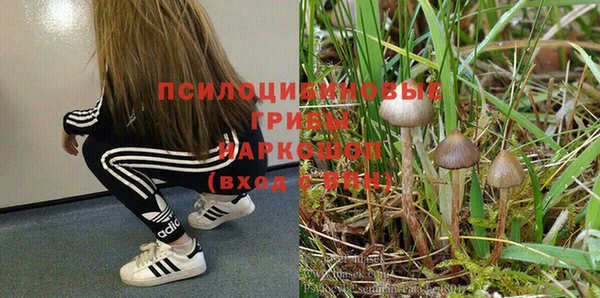 прущая мука Лабытнанги