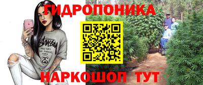 крисы Гусь-Хрустальный