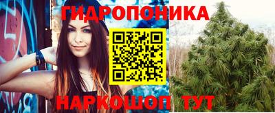 гашик Балахна