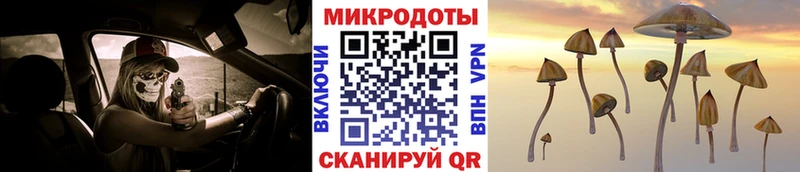 Галлюциногенные грибы прущие грибы  блэк спрут ССЫЛКА  Махачкала  купить наркотики сайты 