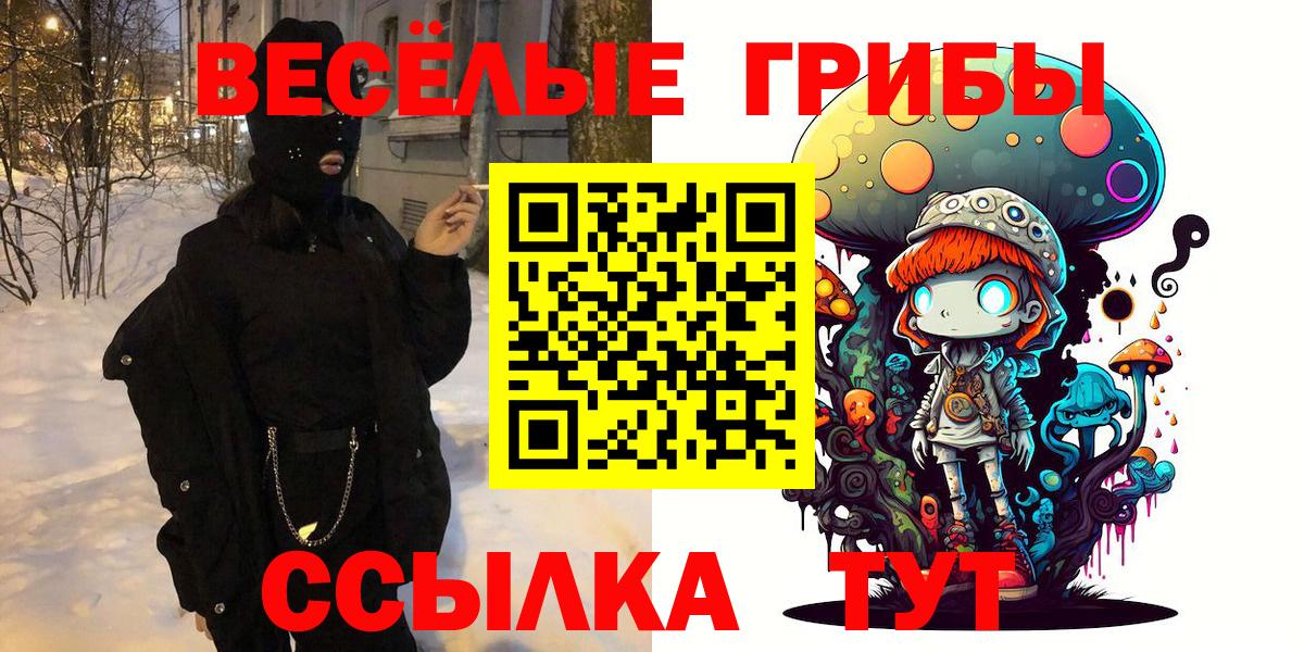 Псилоцибиновые грибы мицелий Махачкала