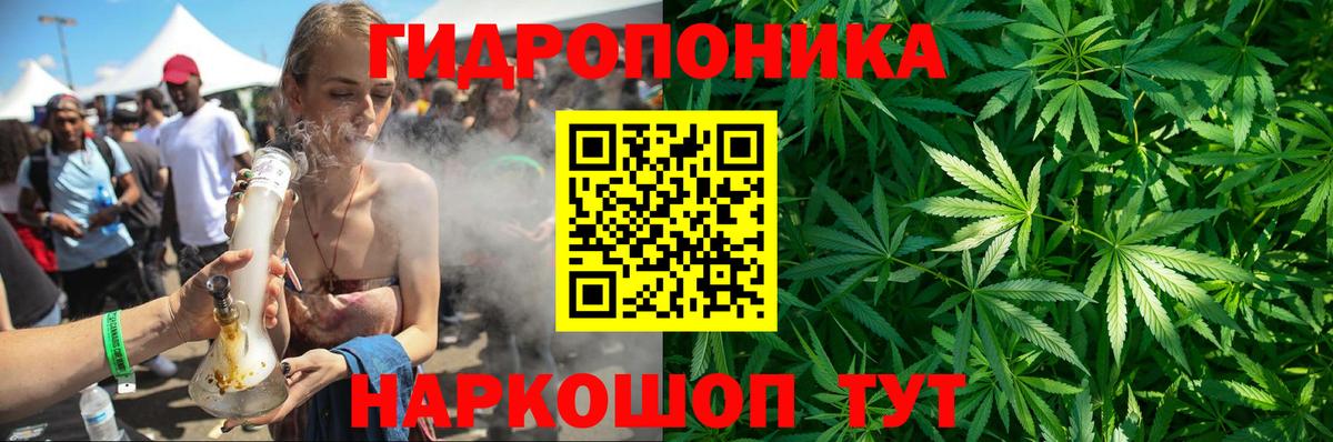 Шишки марихуана Amnesia Махачкала
